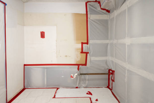 Best Asbestos and Lead Testing During Mold Inspection  in Merrill, IA