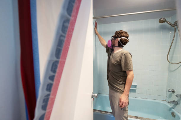Best Basement Mold Removal  in Merrill, IA