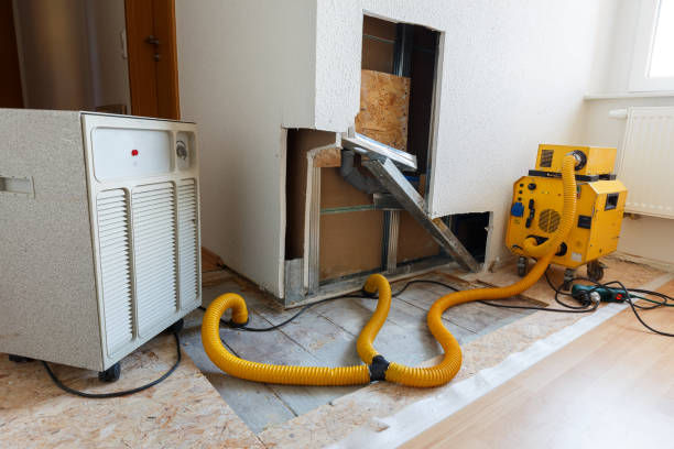 Best Mold Documentation for Insurance Claims  in Merrill, IA