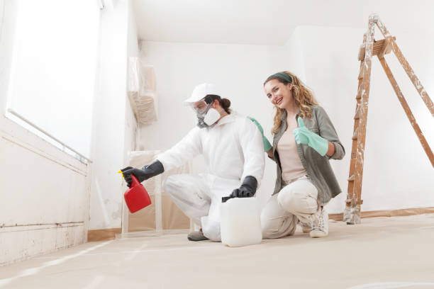 Best Mold Prevention Services  in Merrill, IA
